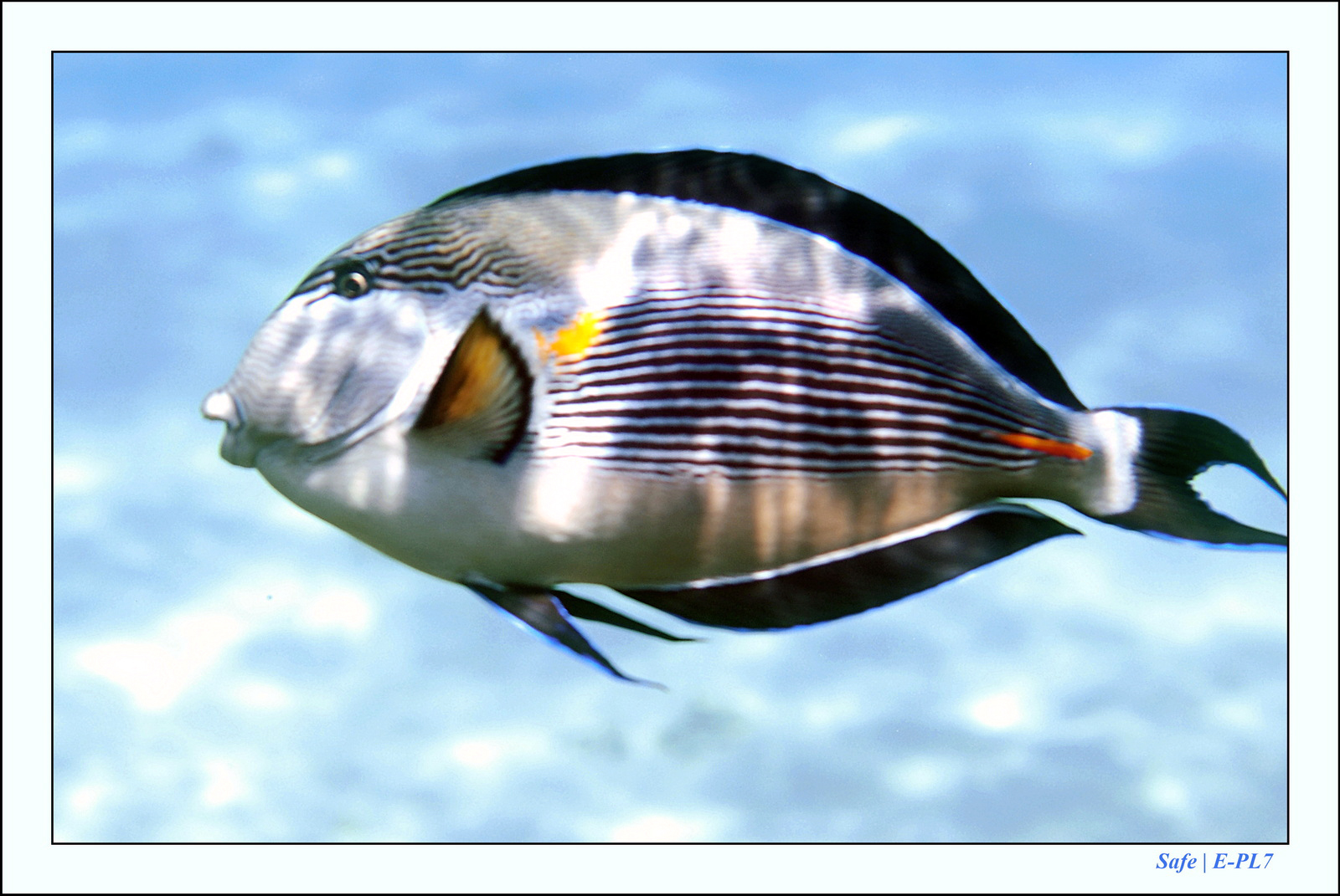 Hurghada - Juillet 2021 - 106